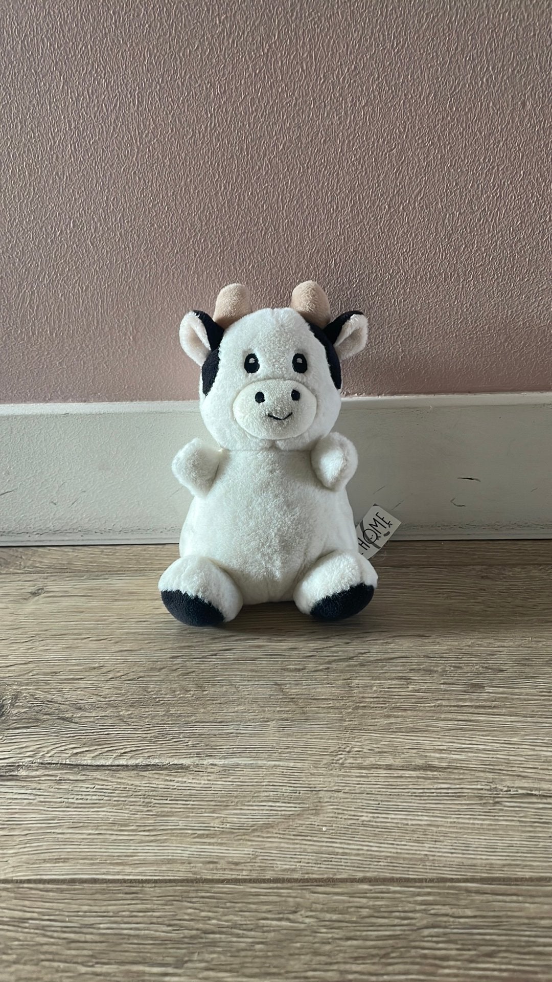 Knuffel van take me home, Ophalen, Zo goed als nieuw, Overige typen