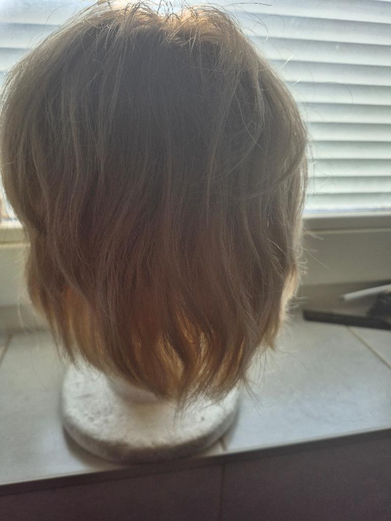 Echt haarwerk met clips, Ophalen, Zo goed als nieuw, Pruik of Haarverlenging