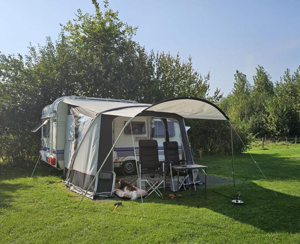 Dorema Mistral Air All Season voortent - Nieuwstaat, Ophalen, Nieuw, Ten Cate All Season 240g/m2, Dorema