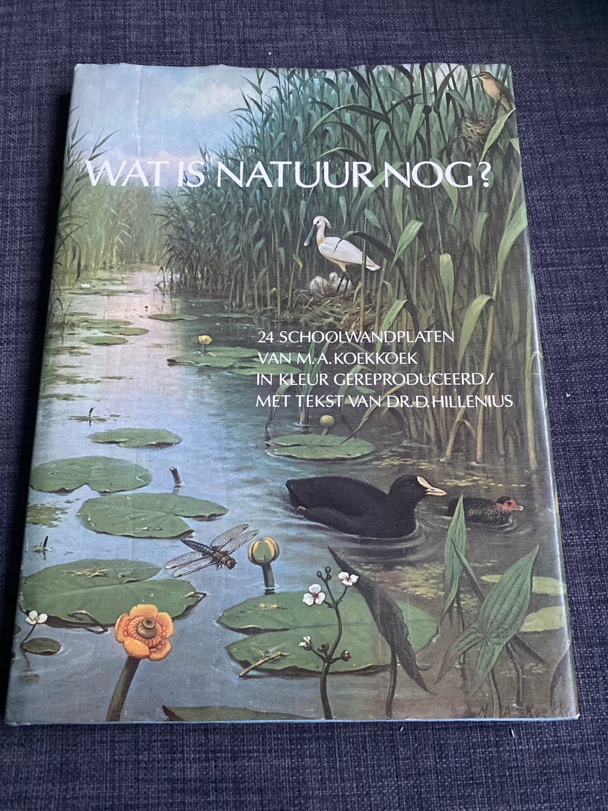 Wat is natuur nog? Schoolwandplaten M.A. Koekkoek, Boeken, Ophalen of Verzenden, Gelezen, Natuur algemeen