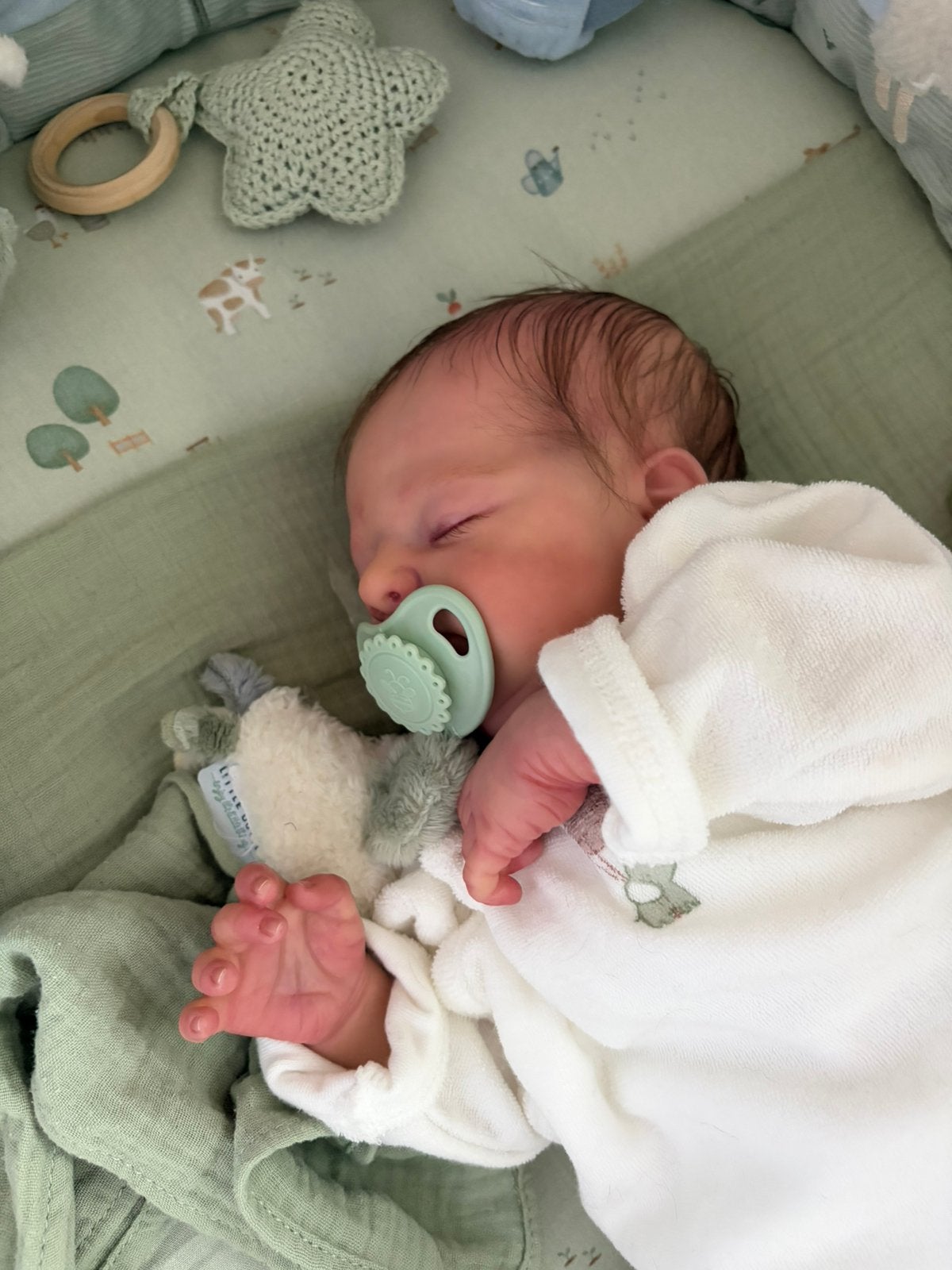 Reborn baby Otto van Joanna Kazmierczak met certificaten, Ophalen, Nieuw, Babypop, Levensecht of Reborn