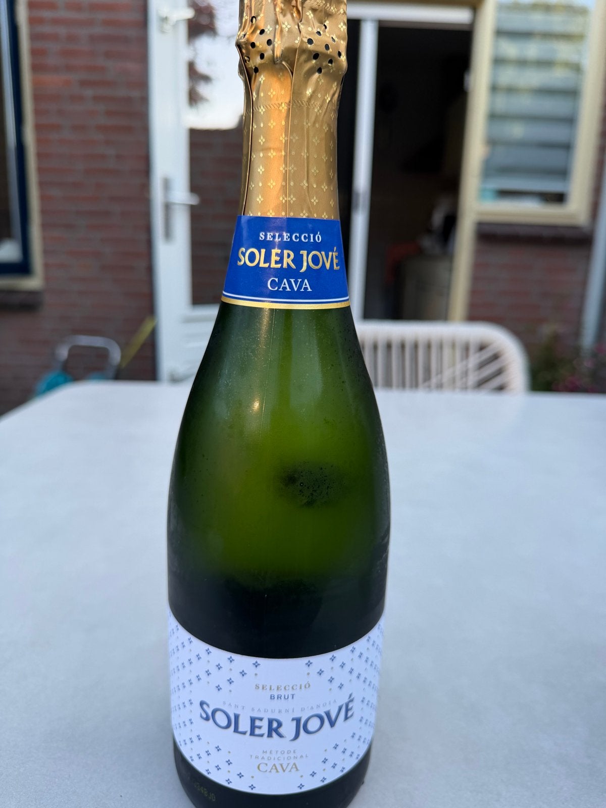 Soler Jove Cava Brut - Spaanse mousserende wijn, Ophalen of Verzenden, Nieuw, Spanje, Overige typen