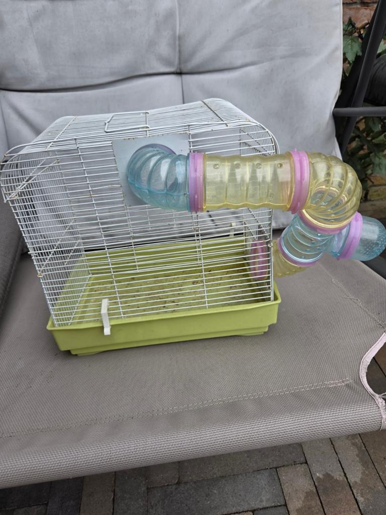 Hamsterkooi, Minder dan 60 cm, Kooi, Minder dan 75 cm, Ophalen of Verzenden