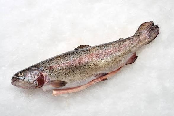 Goedkoop zalm forel, lees beschrijving, Ophalen