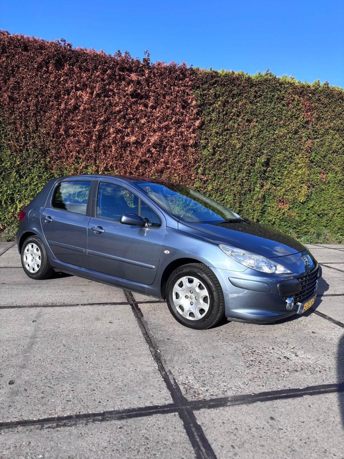 Peugeot 307 1.6 16V 5DR 2006 Grijs, Voorwielaandrijving, Stof, Zwart, 635 kg