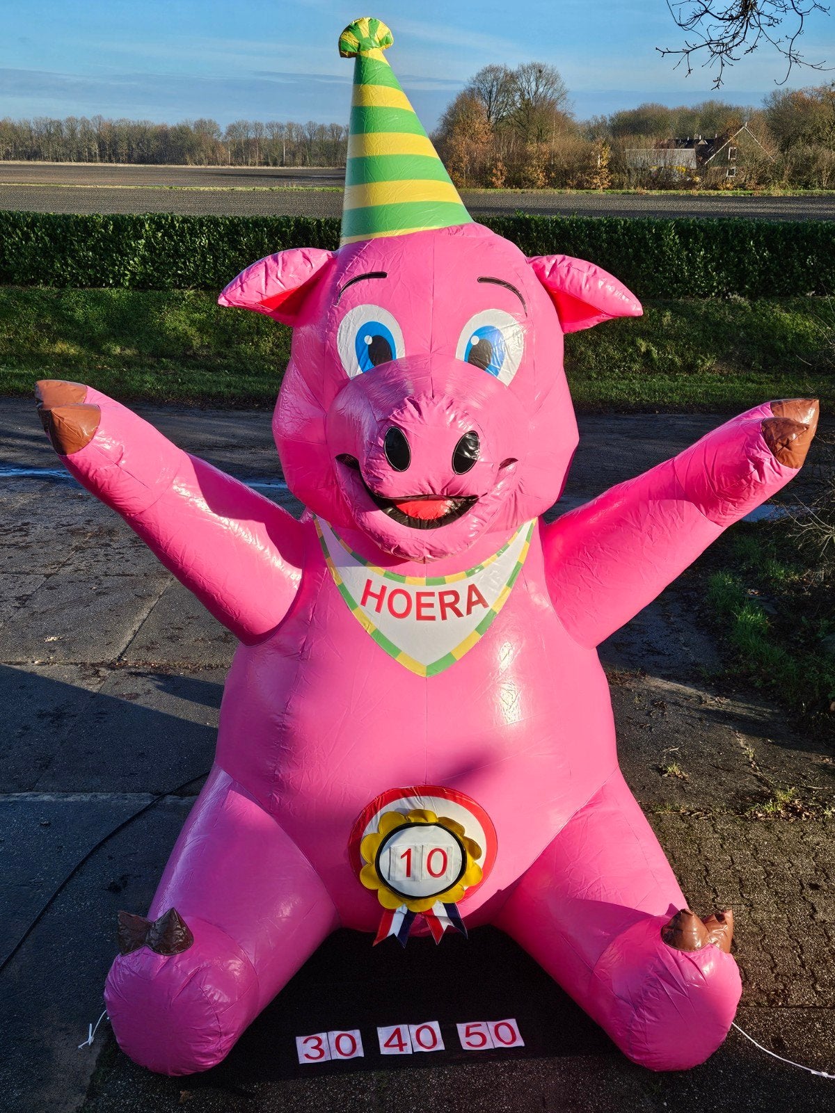 Feest Varken te huur!!, Ophalen, Zo goed als nieuw, Verjaardag