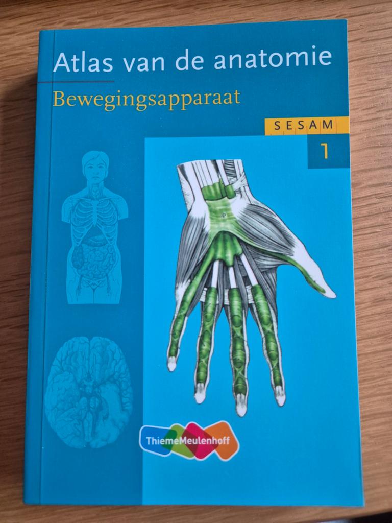 Studieboek Atlas van de anatomie - bewegingsapparaat, ThiemeMeulenhoff, Zo goed als nieuw, Beta, HBO