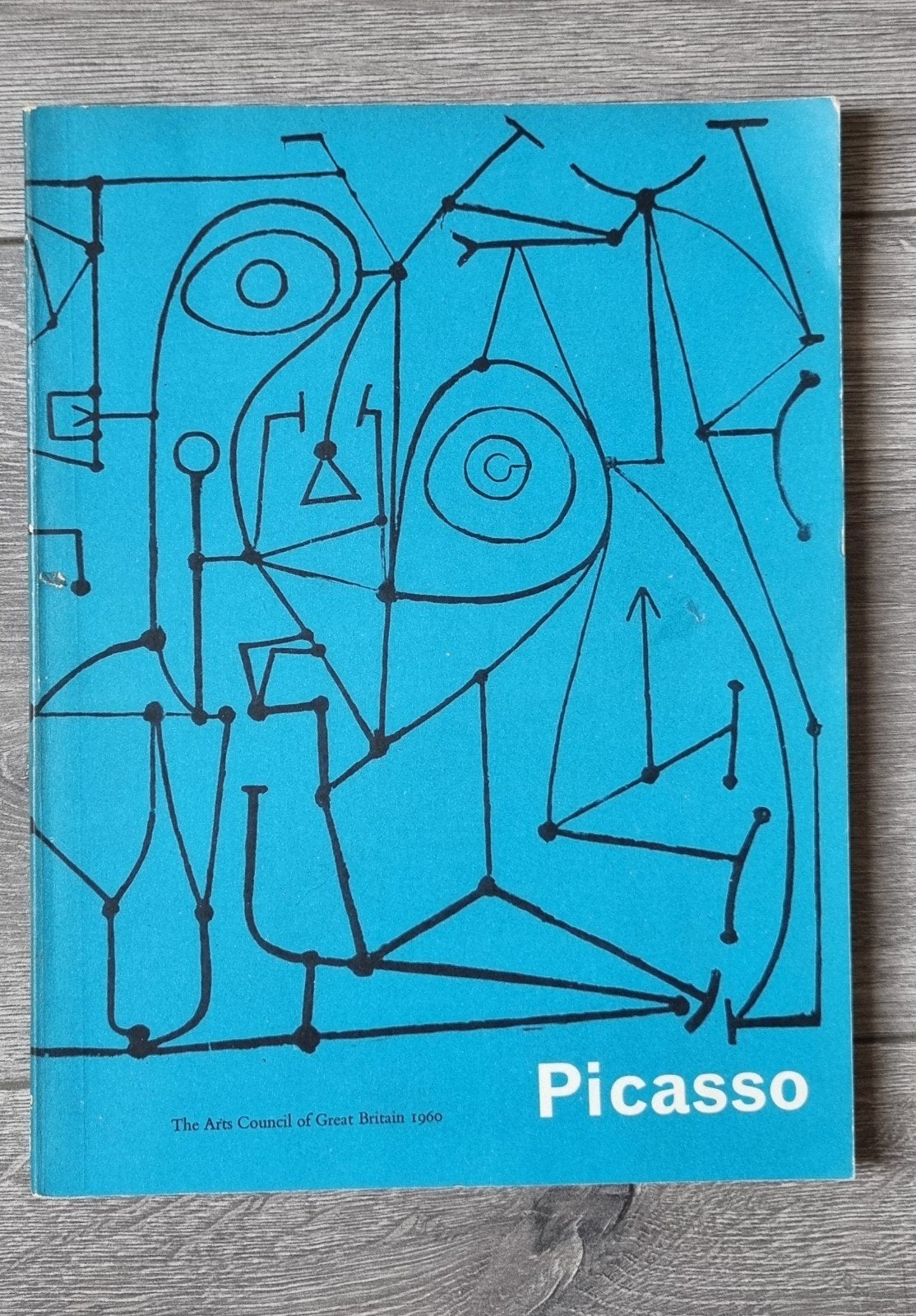 Catalogus Pablo Picasso Tate Gallery 1960, Ophalen of Verzenden, Gelezen