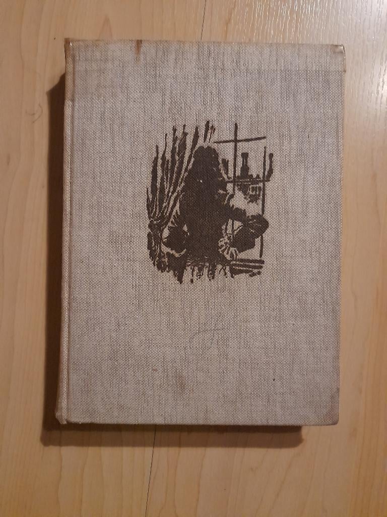 GEEN TWEEDE VADERLAND door Aleid W van de Bunt, Ophalen of Verzenden, Gelezen