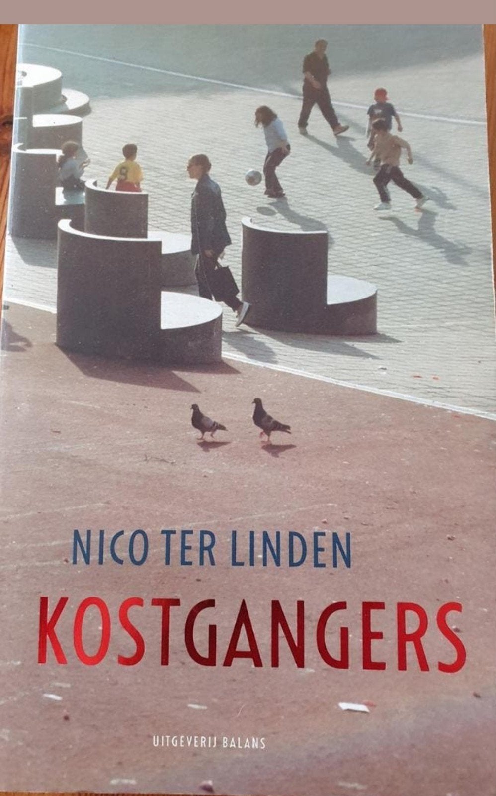 N. ter Linden - Kostgangers, Ophalen of Verzenden, Zo goed als nieuw, N. ter Linden