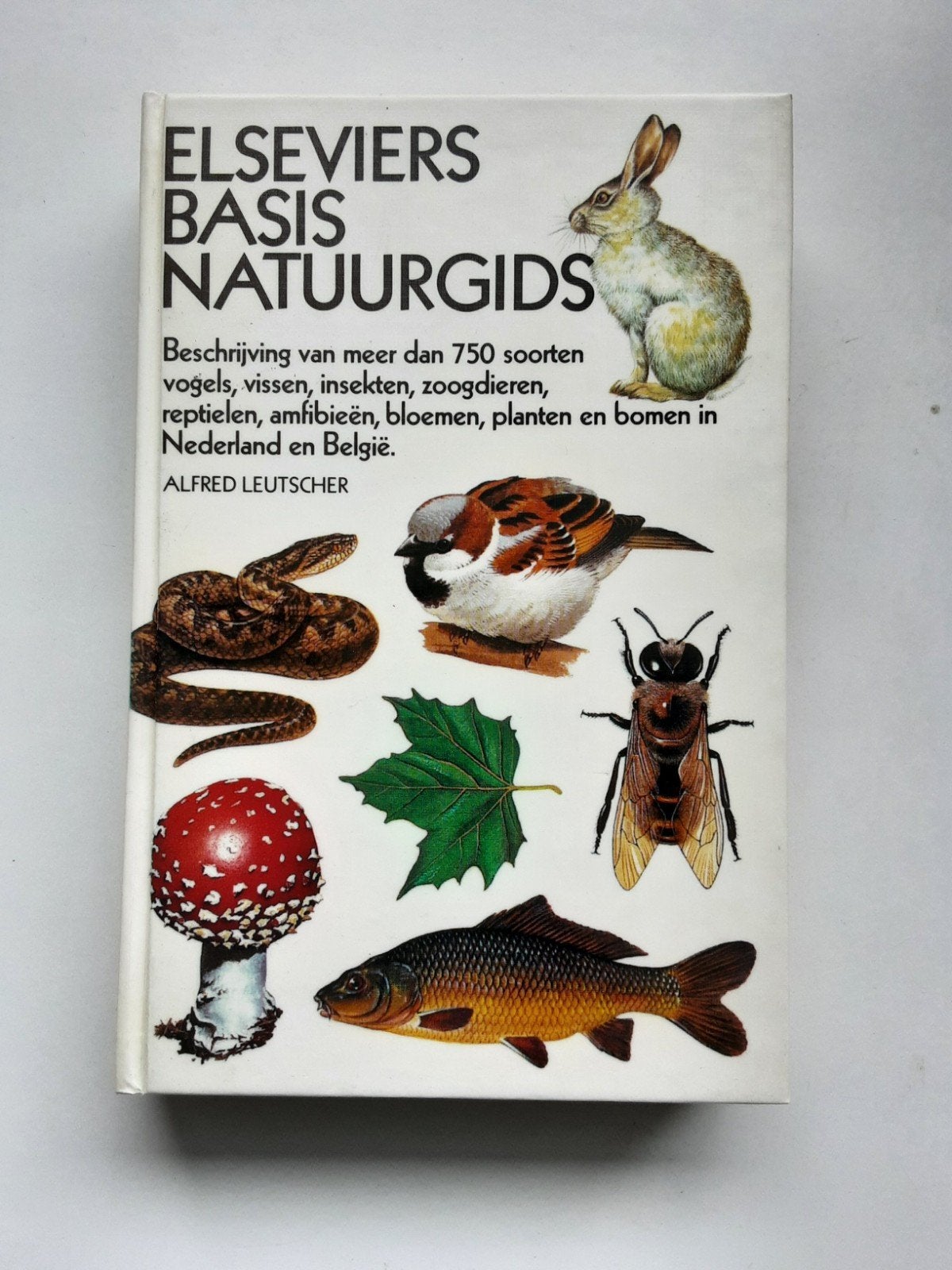 Elseviers Basis natuur gids - Alfred Leutscher, Boeken, Ophalen of Verzenden, Zo goed als nieuw, Bloemen, Planten en Bomen