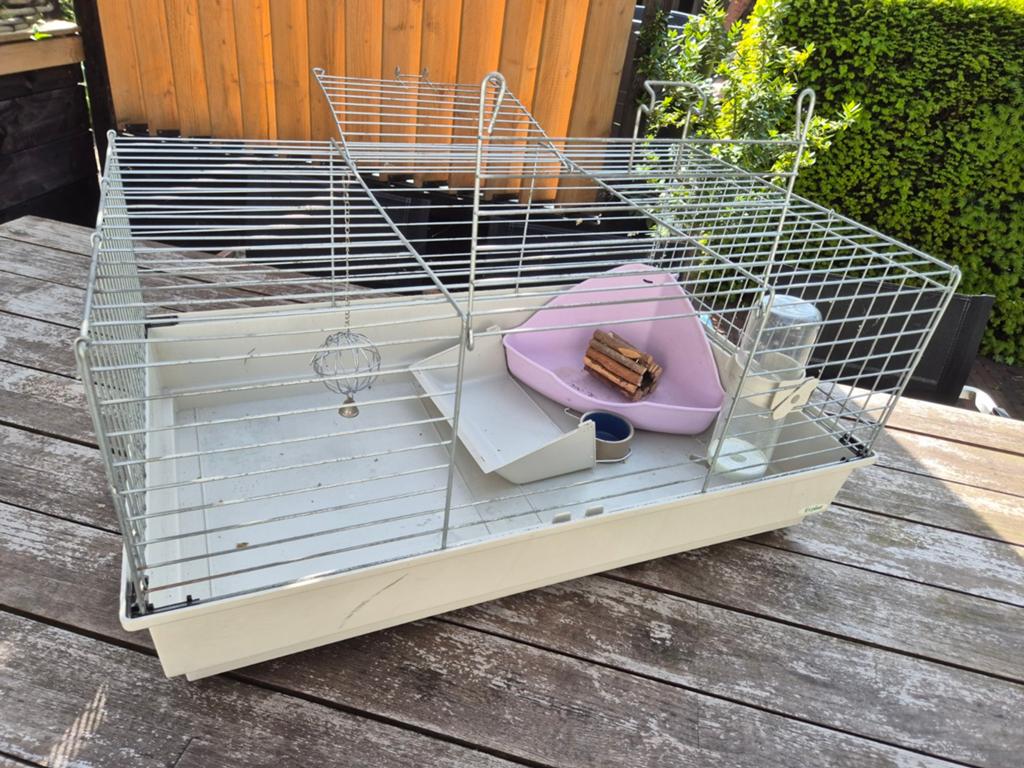 Caviahok compleet, Ophalen, Hok, Cavia, Minder dan 60 cm