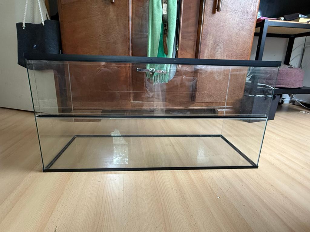 Terrarium met gratis spullen! 100 x 40 x 50cm, Ophalen, Zo goed als nieuw