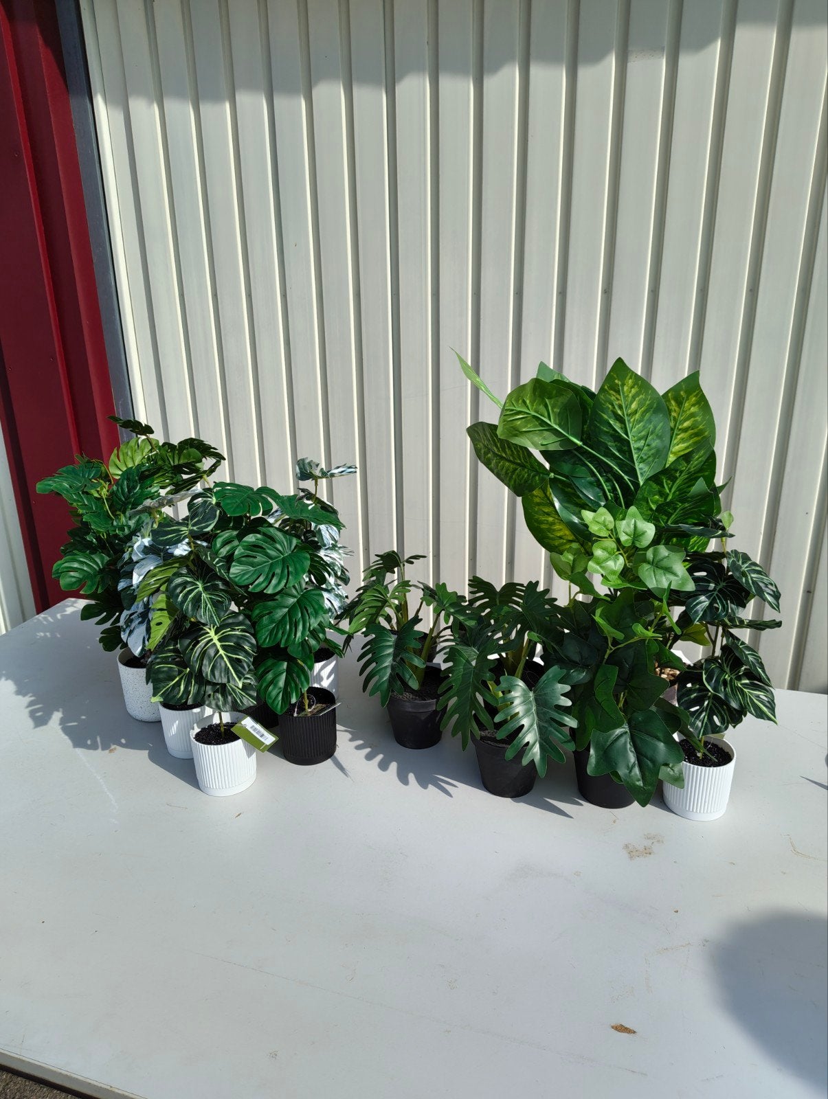 Diverse Kunstplanten Collectie - Groene Kamerplanten, Ophalen, Nieuw