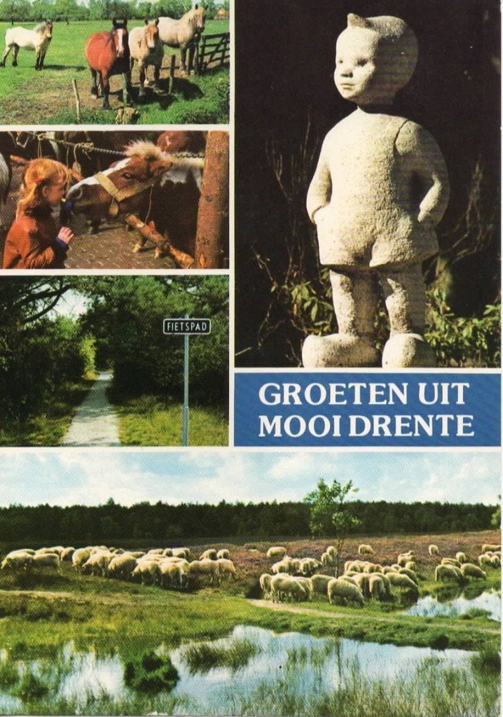 Ansichtkaart Drenthe, 5-luik, Bartje, paarden, schapen, Ophalen of Verzenden, 1980 tot heden, Gelopen, Drenthe