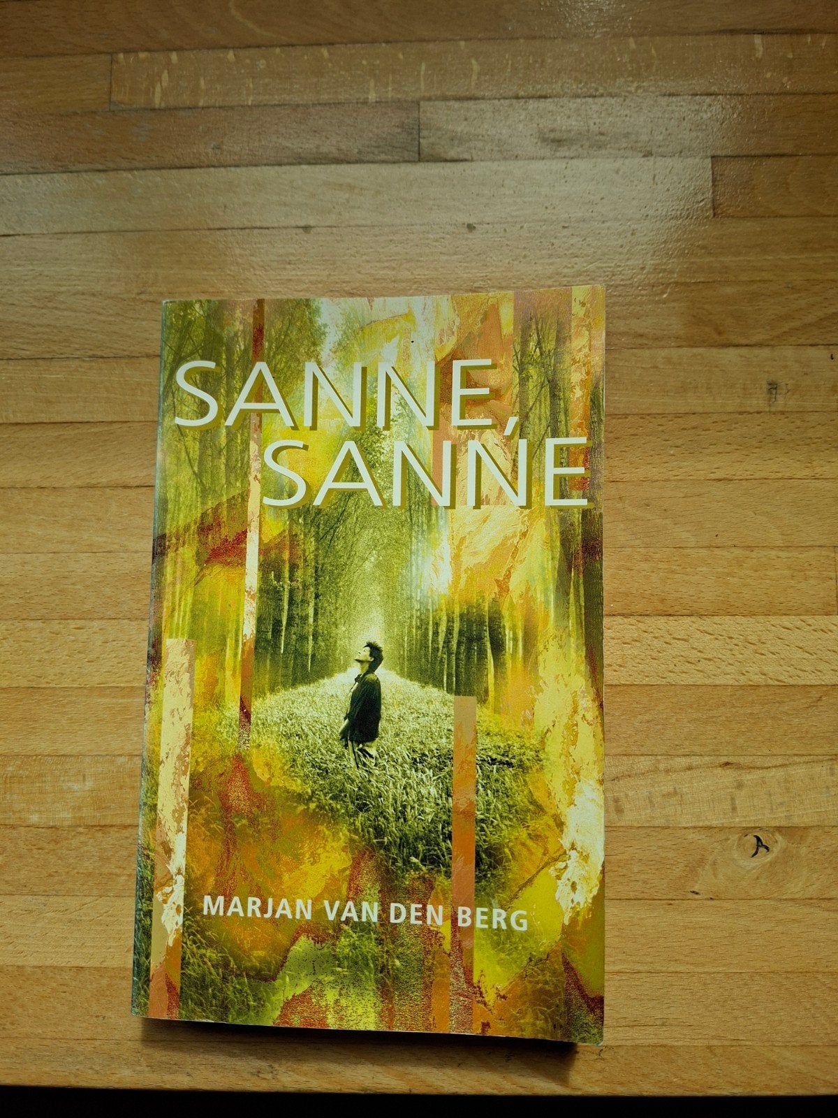 Sanne, Sanne - Deel 4 (Marjan van den Berg), Ophalen of Verzenden, Gelezen