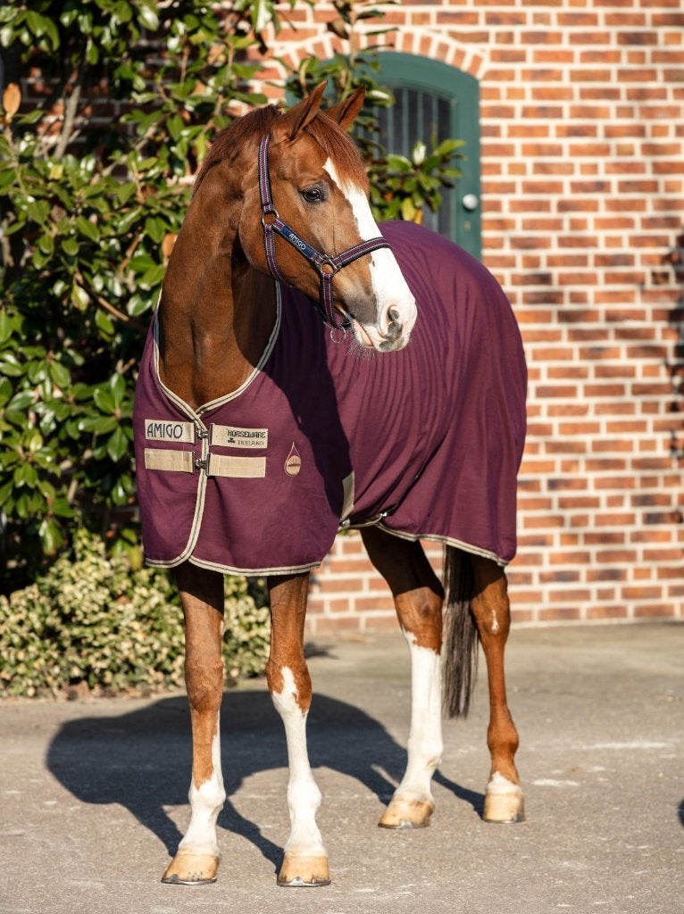 Amigo Stable Sheet, staldeken, maat 183 (6'0), 185, Rood, Nieuw, Ophalen of Verzenden, Staldeken