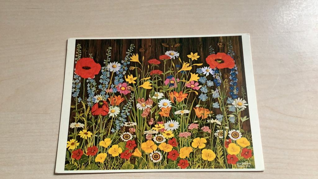 Noorwegen., Verzamelen, Ansichtkaarten | Buitenland, Ophalen of Verzenden, 1960 tot 1980, Gelopen, Overig Europa