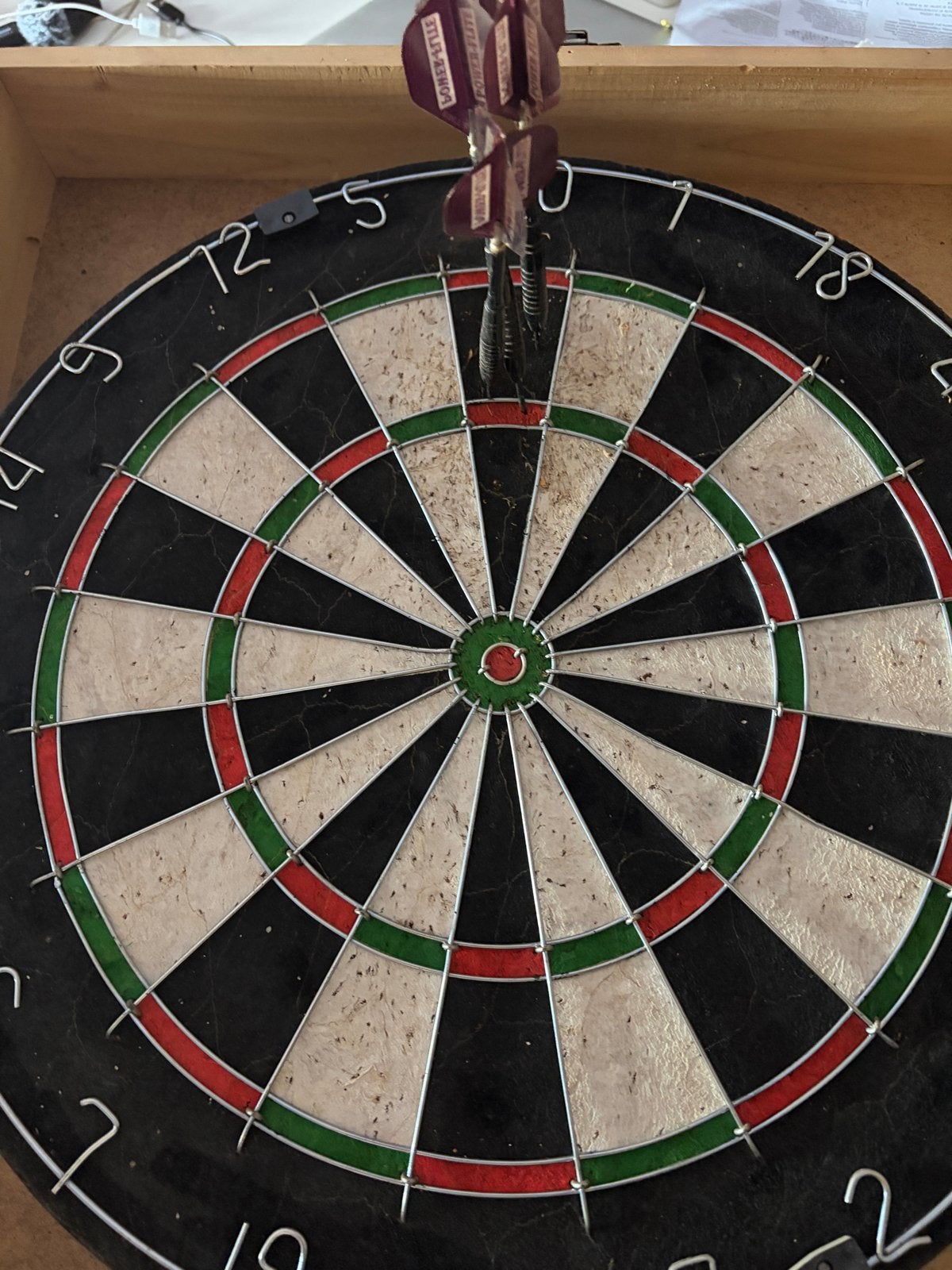 Dartbord met kast en pijlen, Sport en Fitness, Ophalen, Gebruikt, Dartbord met pijlen