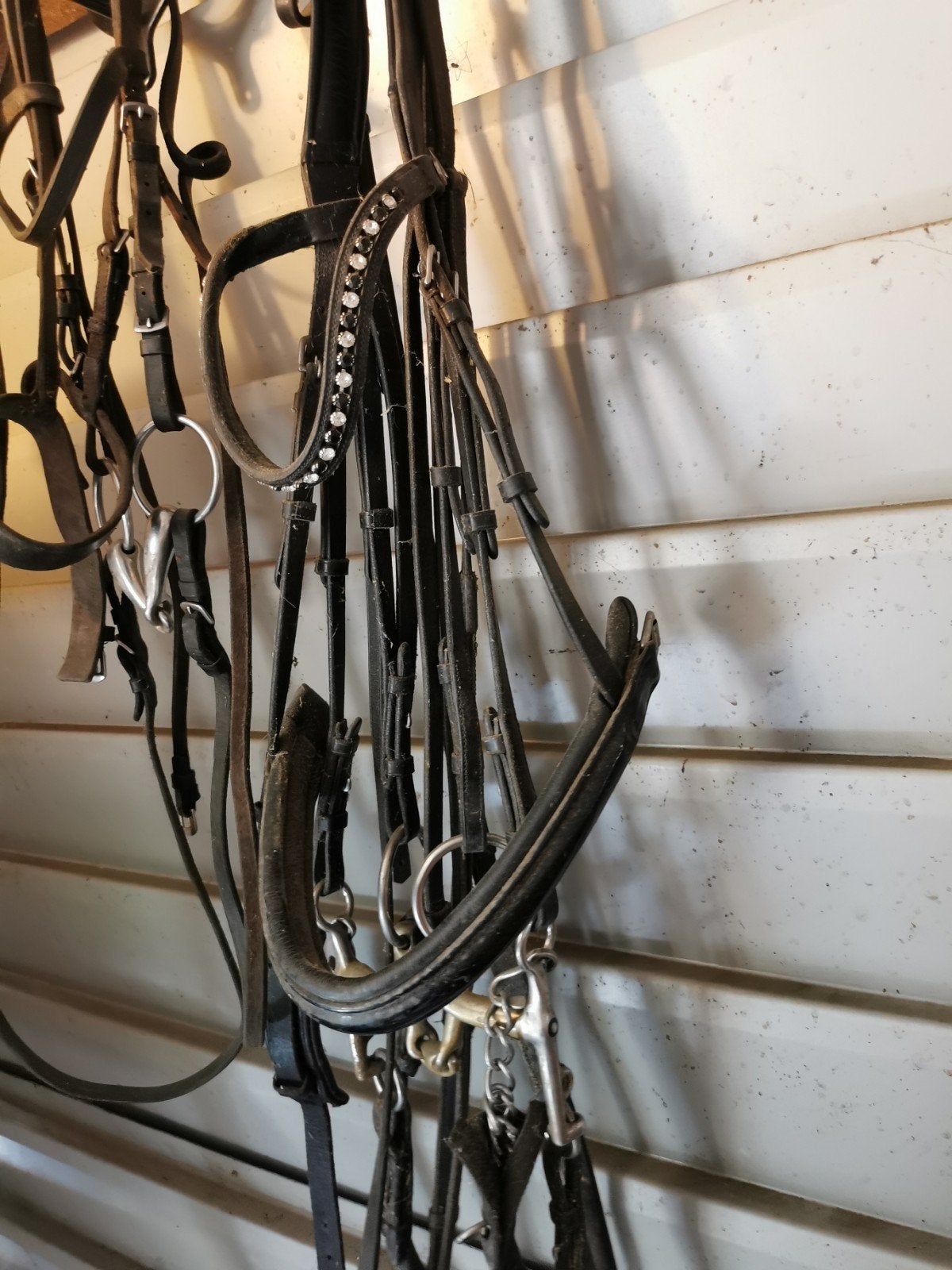 Hoofdstel stang en trens maat full, Ophalen of Verzenden, Dressuur
