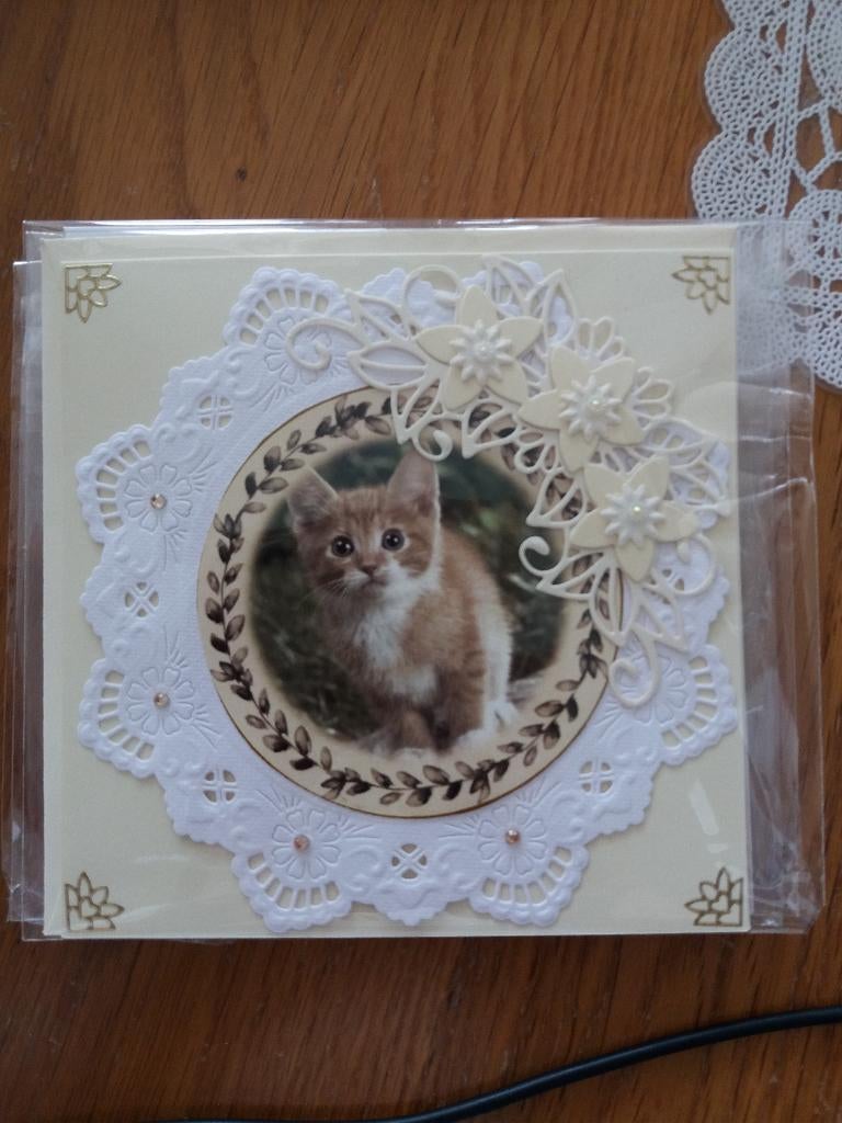 Blanko kaartje met poesje no. 2335, Ophalen of Verzenden, Nieuw, Dieren