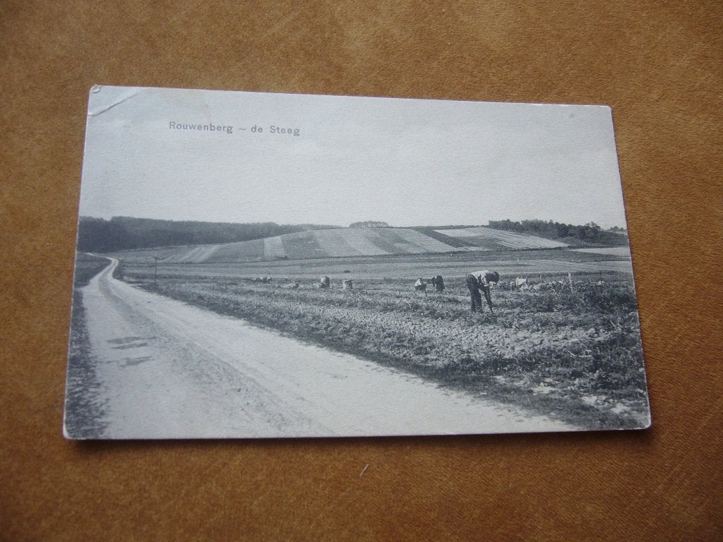 DE STEEG  =  ROUWENBERG, Verzamelen, Ansichtkaarten | Nederland, Ophalen of Verzenden, 1920 tot 1940, Gelopen, Gelderland