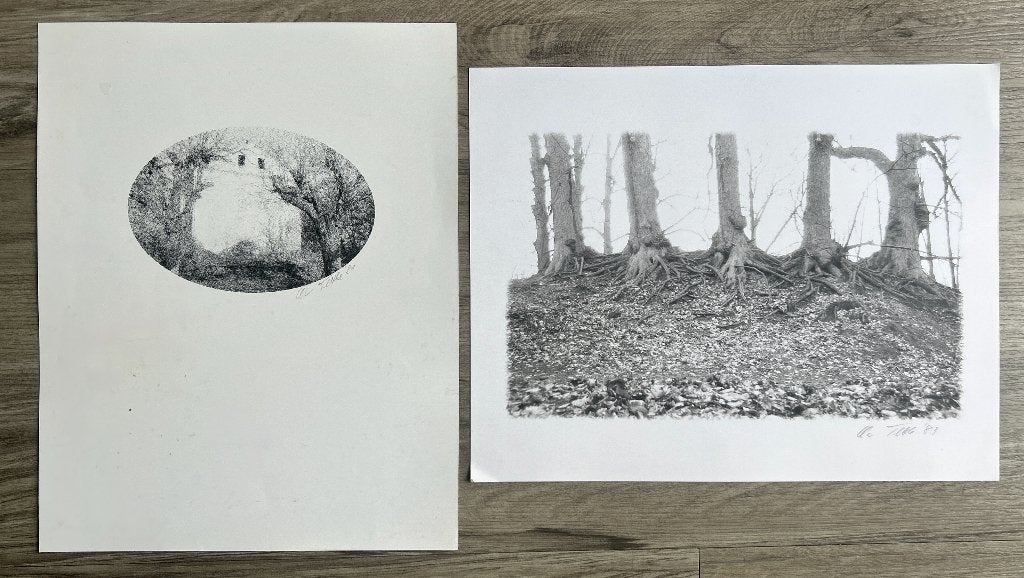 2x zeefdruk Chris Tettke   ZOMEOPRUIMING, Antiek en Kunst, Kunst | Litho's en Zeefdrukken, Origineel, Ophalen of Verzenden, Zeefdruk