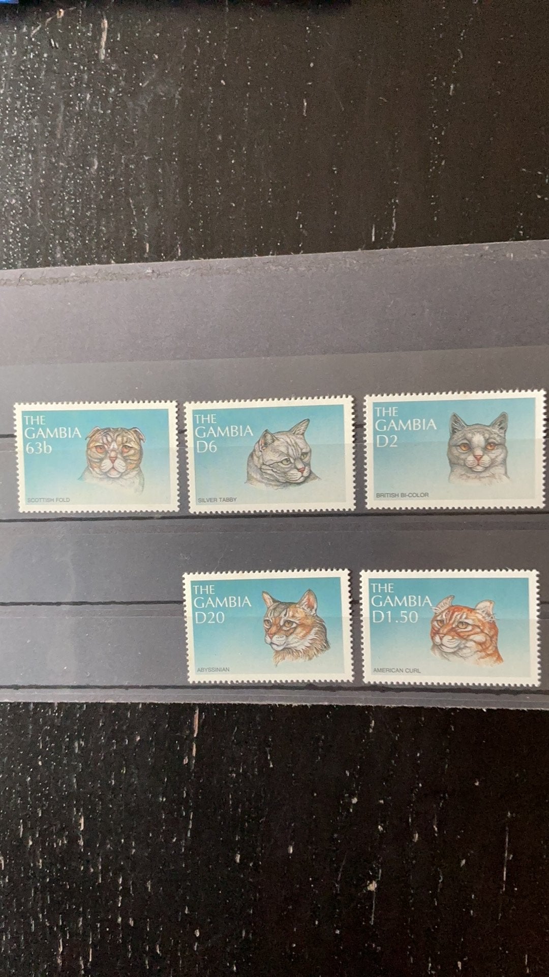 Postzegels Gambia - Kattenrassen (6 stuks), Ophalen of Verzenden, Postfris, Overige thema's