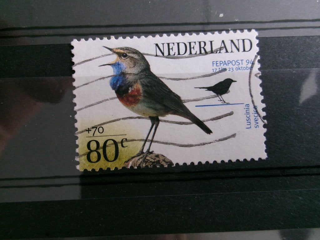 1994 - blauwborst (586f), Verzenden, Gestempeld