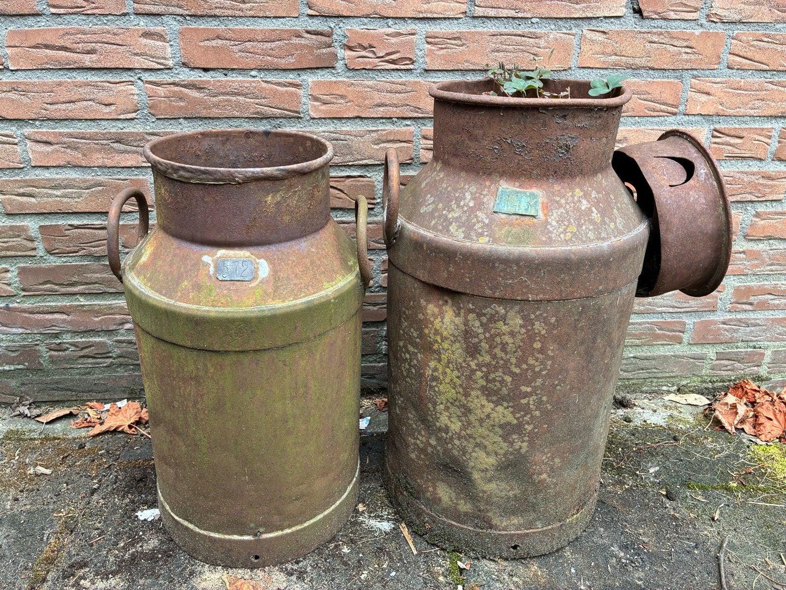 Set van 2 Antieke Melkbussen - Decoratief Roestig, Ophalen