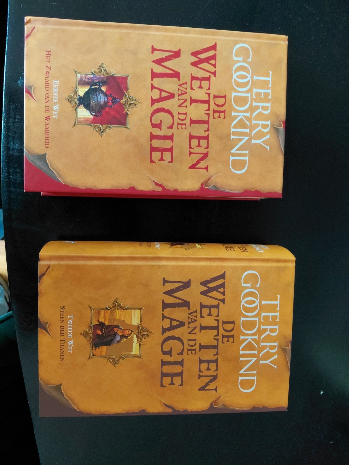 Terry Goodkind - De Wetten van de Magie (deel 1 & 2), Boeken, Fantasy, Ophalen of Verzenden, Gelezen, Terry Goodkind