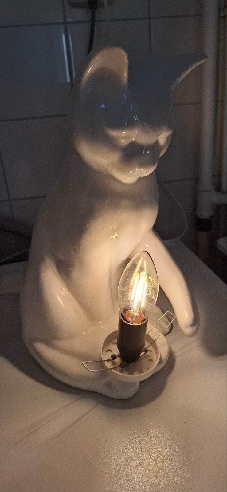 poezenlamp, Ophalen