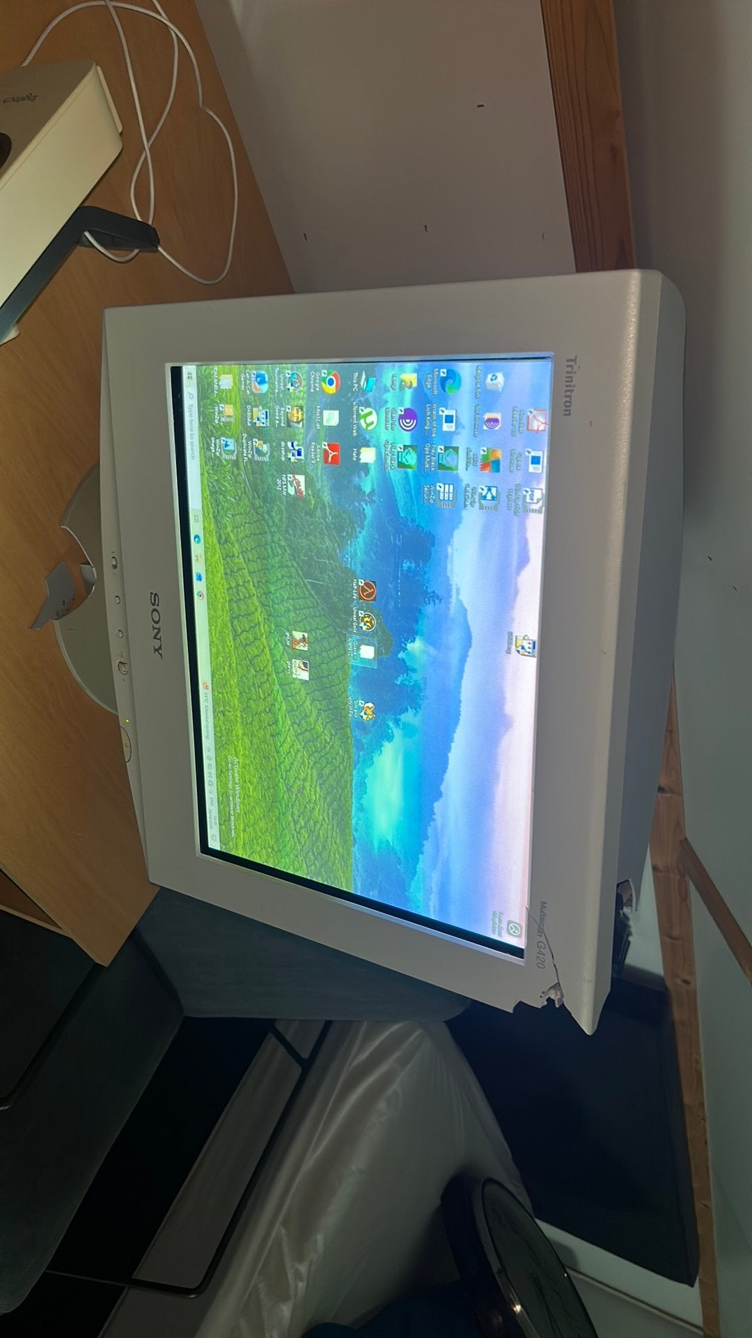 Sony trinitron g420 crt monitor, Ophalen, Gebruikt, Sony