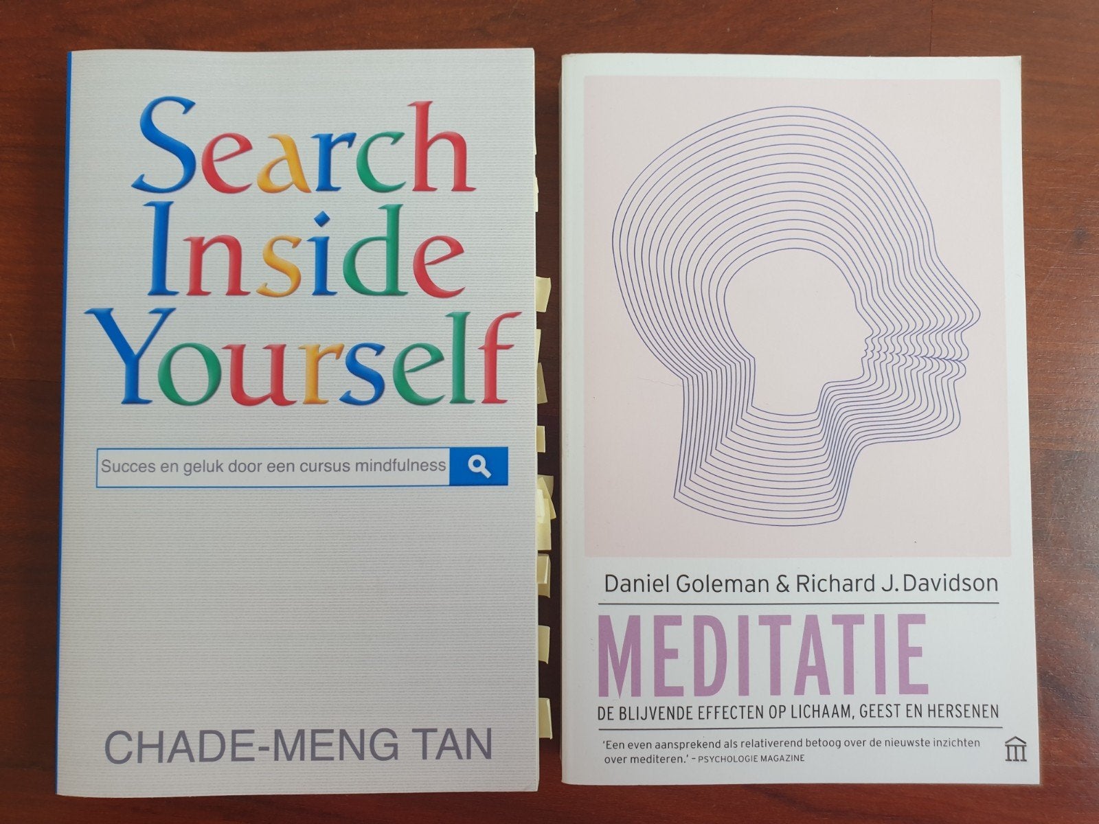Boeken: Search Inside Yourself & Meditatie, Boeken, Esoterie en Spiritualiteit, Meditatie of Yoga, Ophalen of Verzenden, Zo goed als nieuw