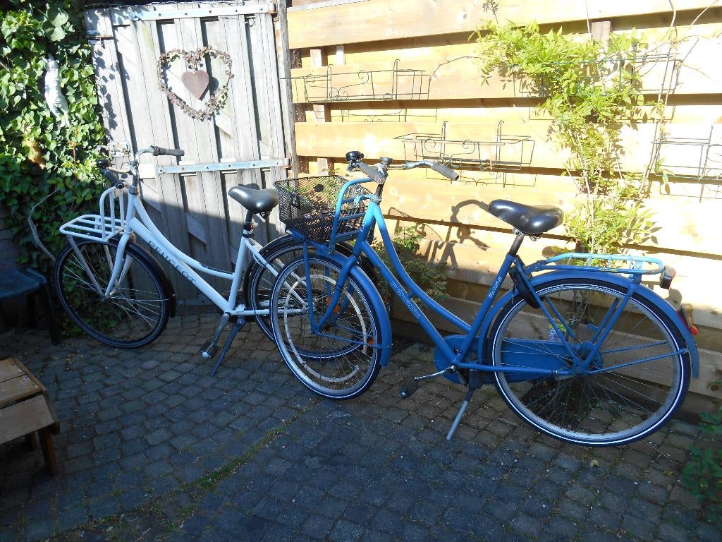 omafiets transportfiets €75 per stuk, 50 tot 53 cm, Ophalen, Gebruikt, Terugtraprem