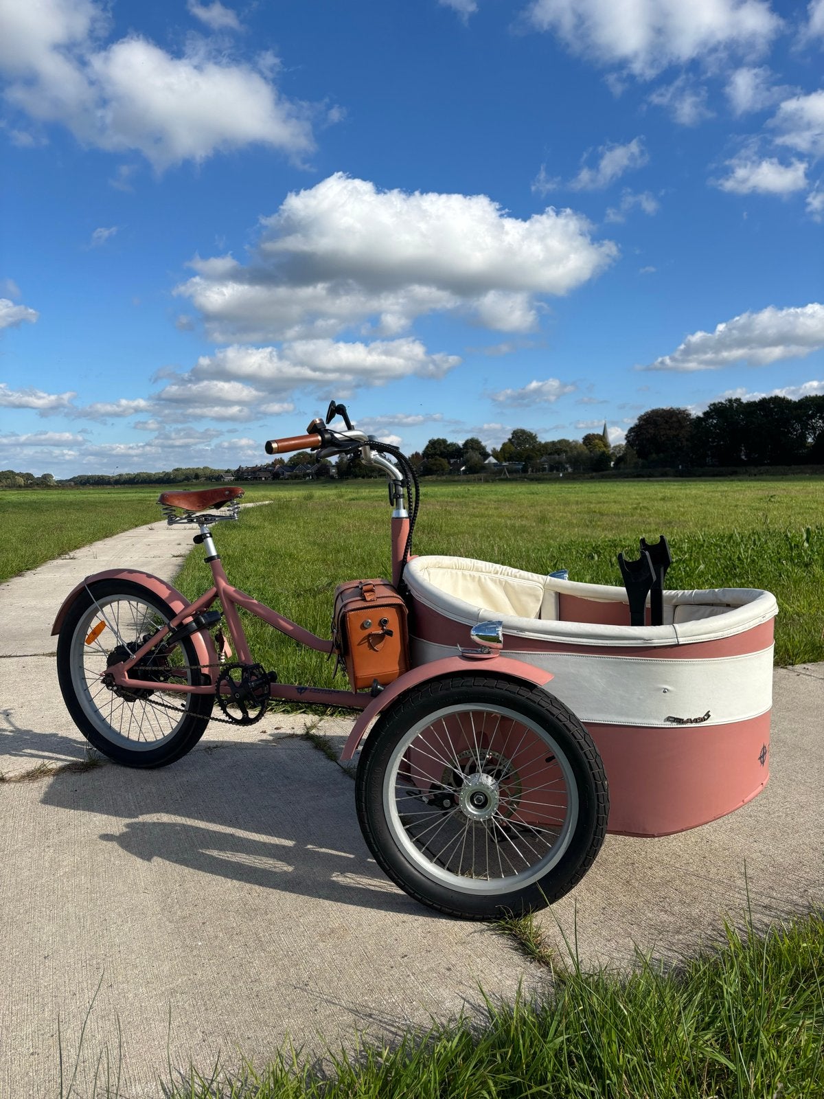 Roze elektrische bakfiets - Rayvolt Premium e-bikes, Fietsen en Brommers, 3 kinderen, Elektrisch, Zo goed als nieuw, Schijfrem
