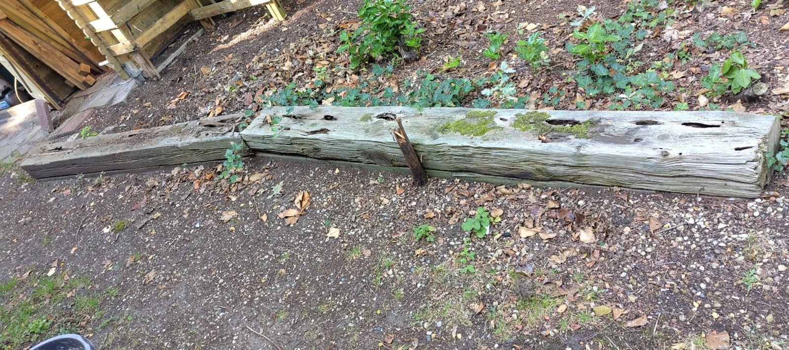 19+ houten bielzen, Ophalen, Gebruikt, 100 tot 200 cm, Biels