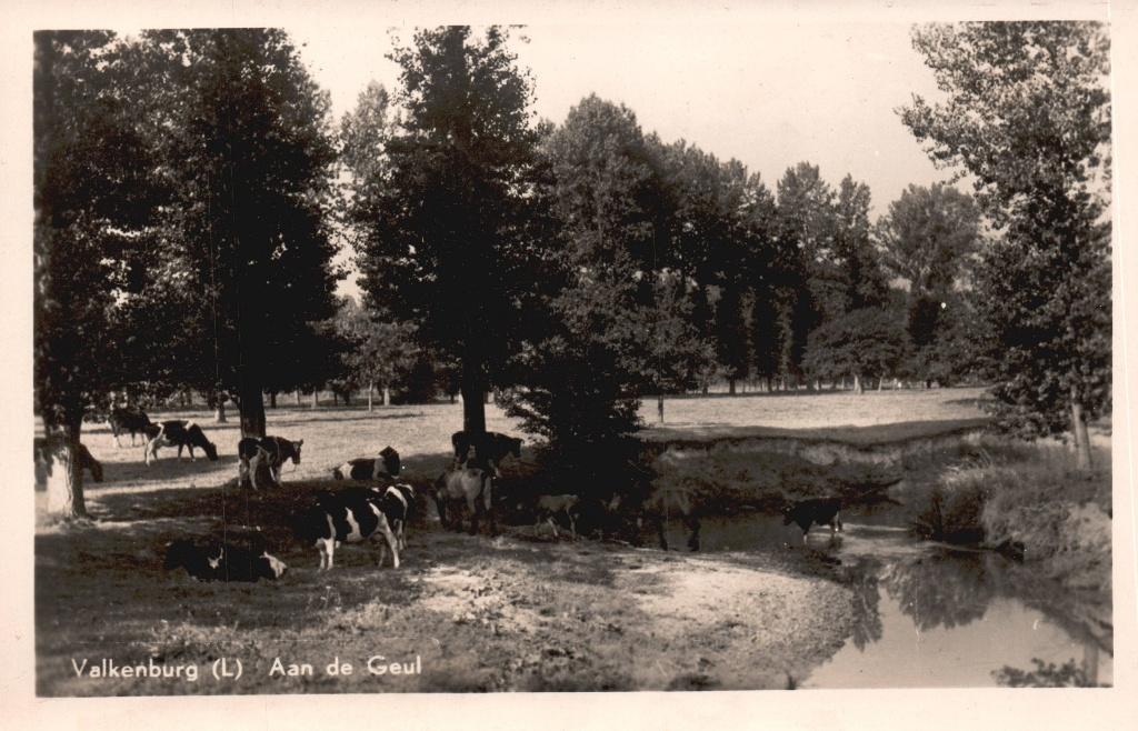 Valkenburg, Aan de Geul (1953) 131194, Ophalen of Verzenden, 1940 tot 1960, Gelopen, Limburg
