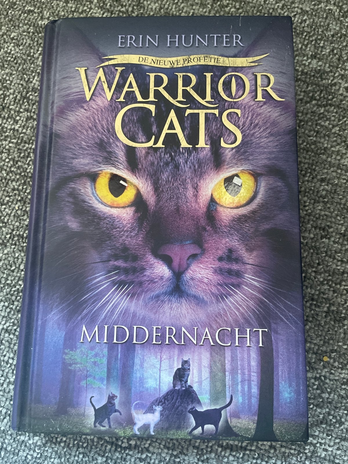 Warrior Cats: Middernacht, Ophalen of Verzenden, Gelezen