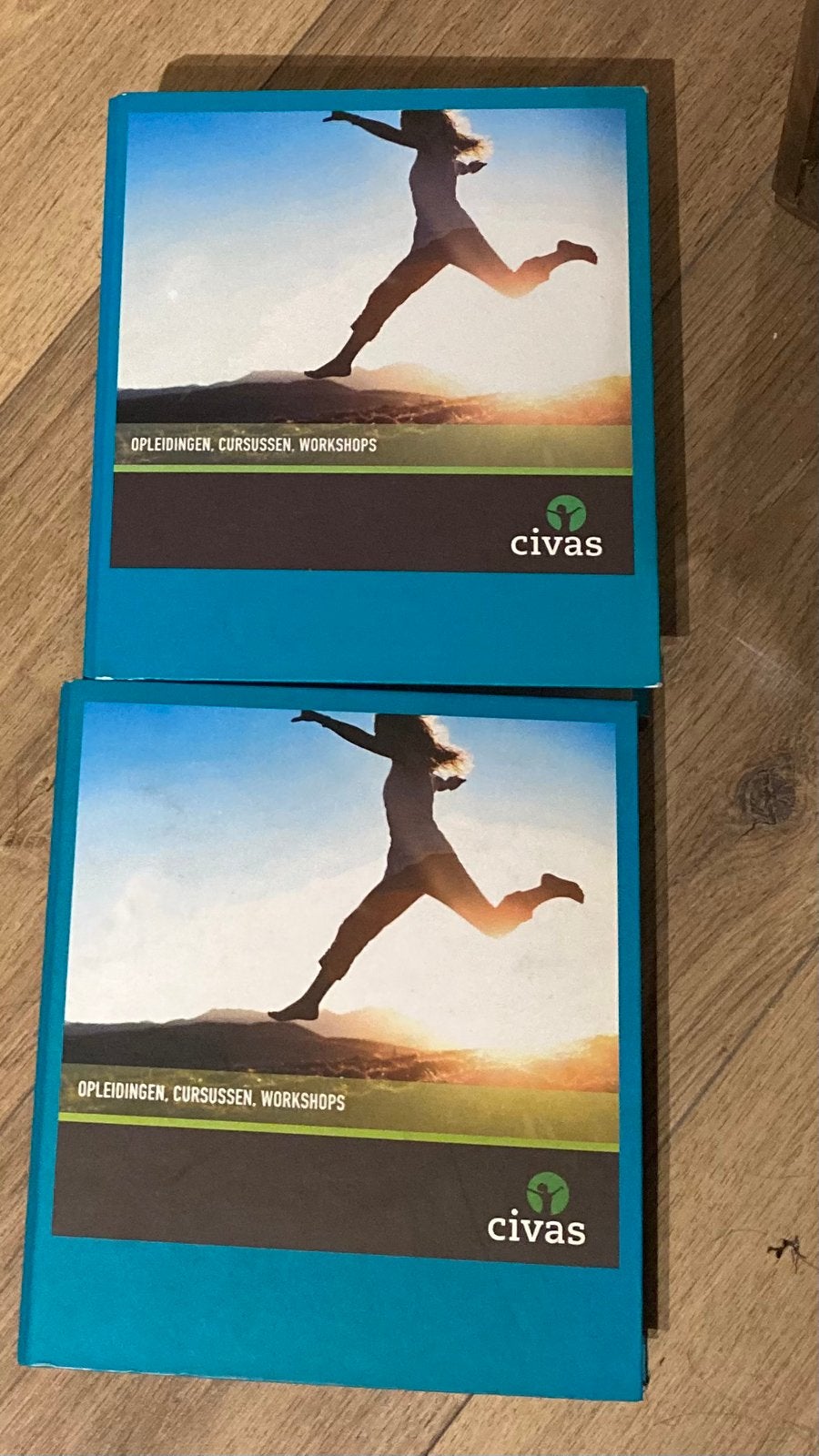 Cursus Creatieve therapie van Civas, Boeken, Studieboeken en Cursussen, Ophalen, Alpha, Zo goed als nieuw