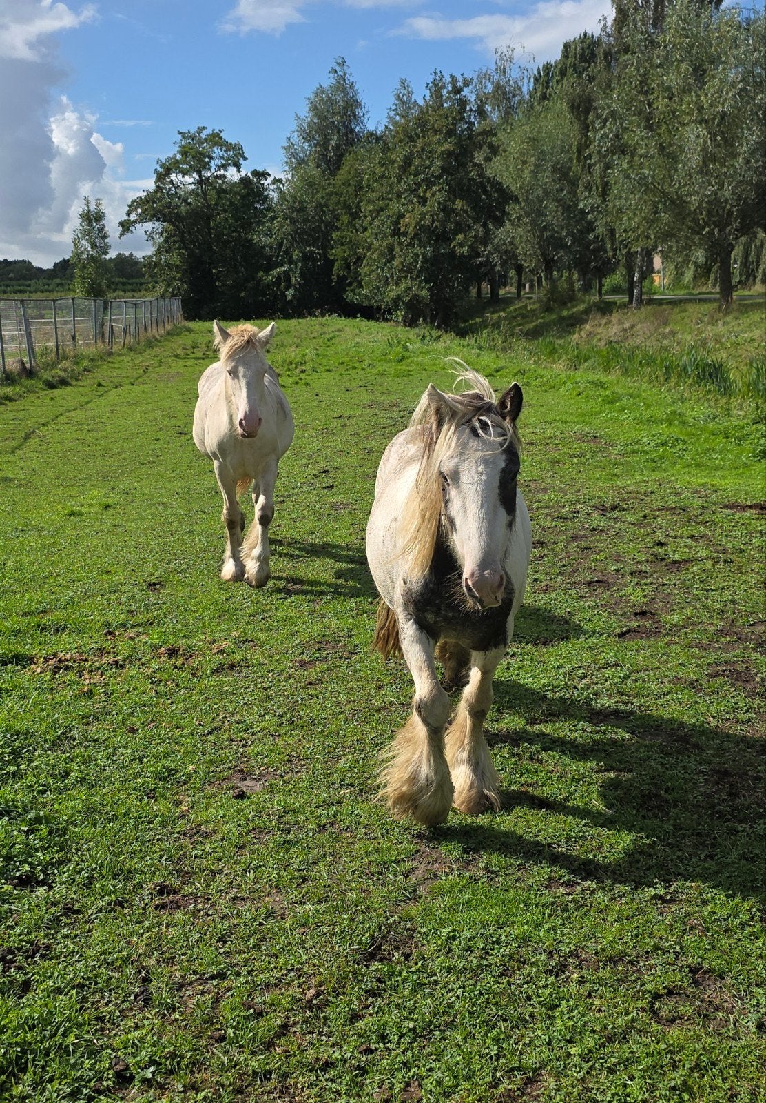 zand, Ophalen of Verzenden, Ophoogzand