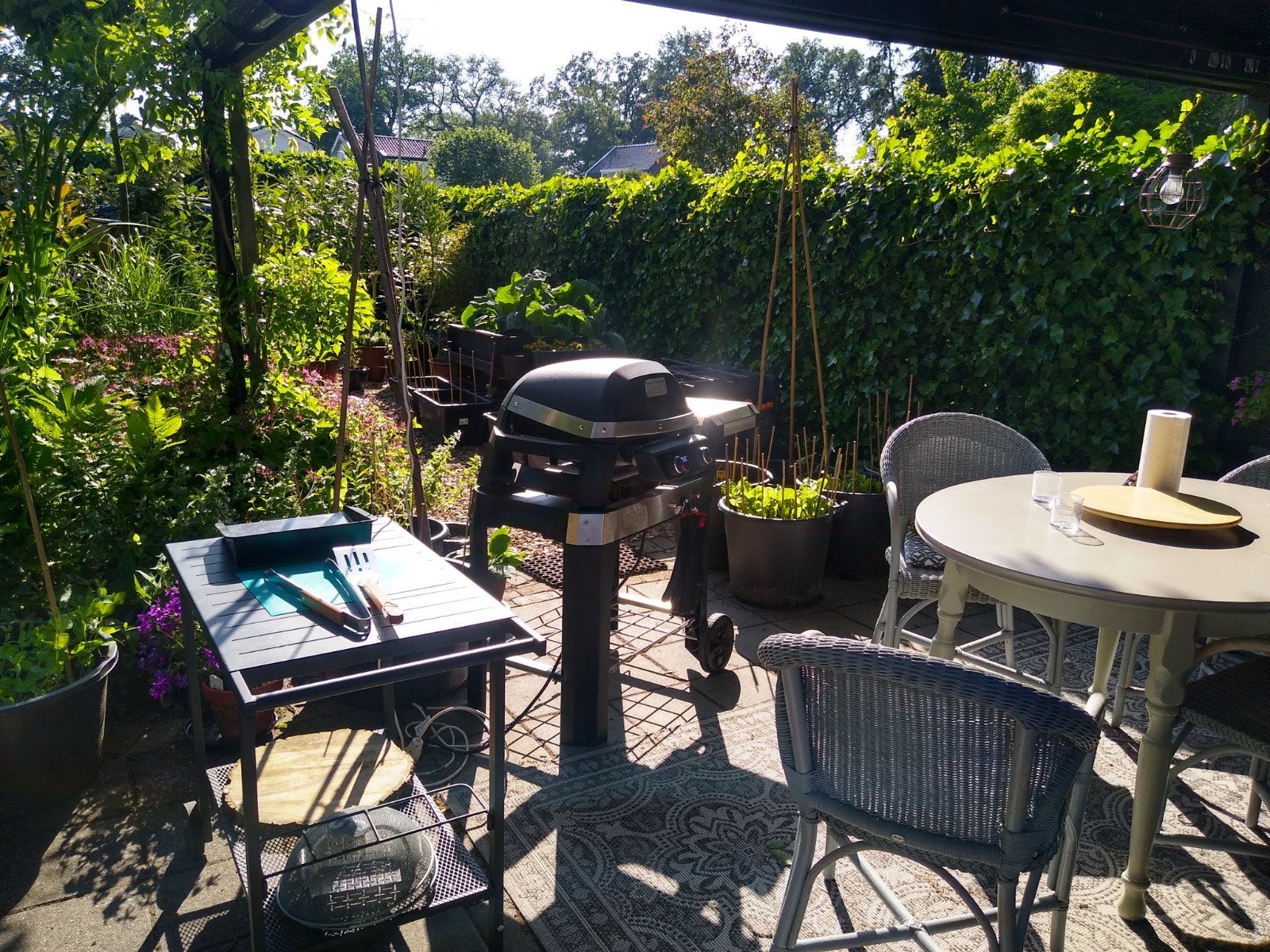 Weber Pulse 2000 elektrische BBQ met stand en accessoires, Ophalen, Gebruikt, Weber