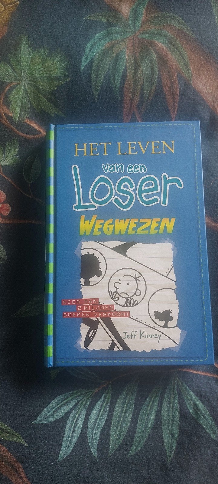 Leven van een loser, Boeken, Ophalen of Verzenden, Zo goed als nieuw