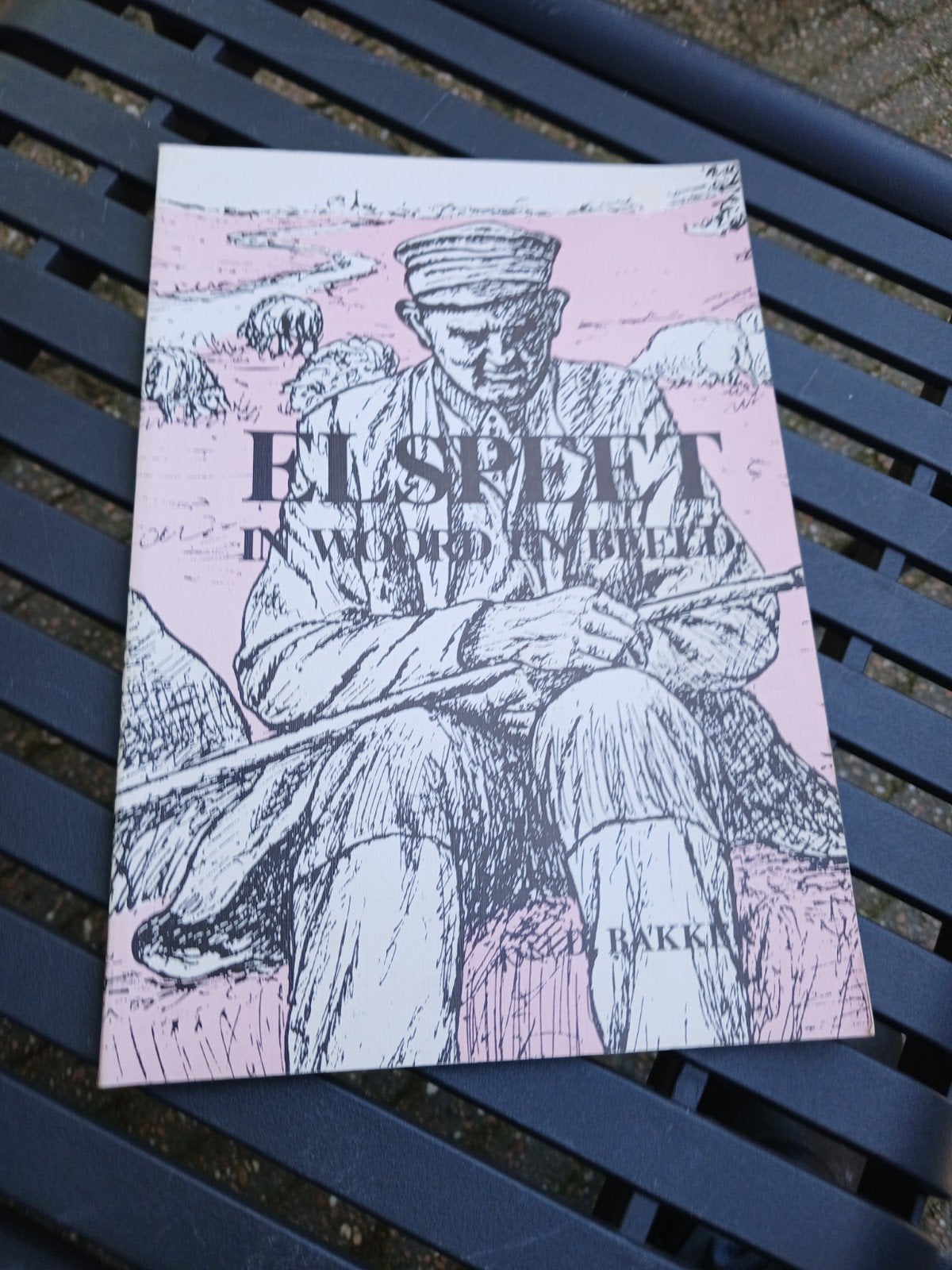 Elspeet in Woord en Beeld - D. Bakker (1989), Ophalen of Verzenden, 20e eeuw of later, Gelezen, D. Bakker