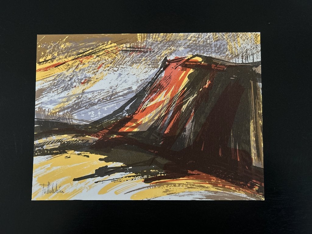 Zeefdruk Toos Holstein   ZOMEROPRUIMING, Antiek en Kunst, Kunst | Litho's en Zeefdrukken, Origineel, Ophalen of Verzenden, Zeefdruk
