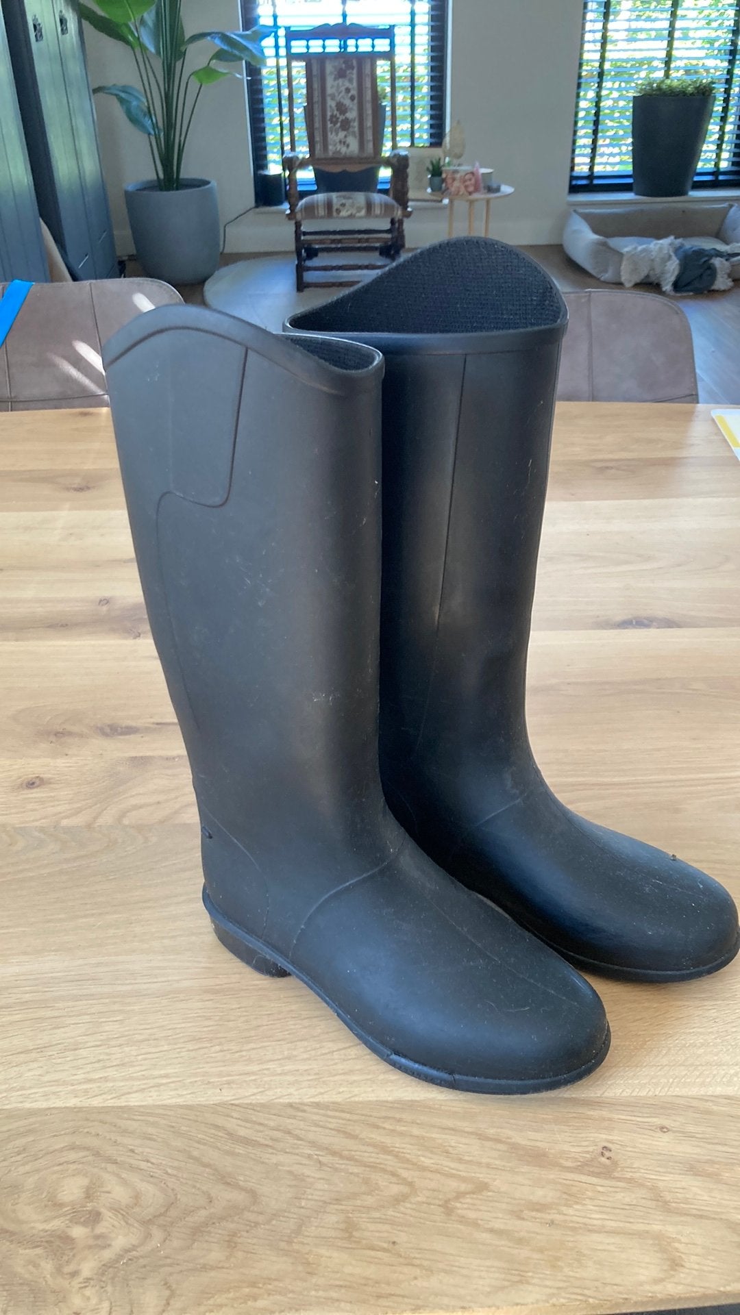 Zgan paardrijlaarzen mt 35, Dieren en Toebehoren, Ophalen of Verzenden, Zo goed als nieuw, Dressuur, Schoeisel