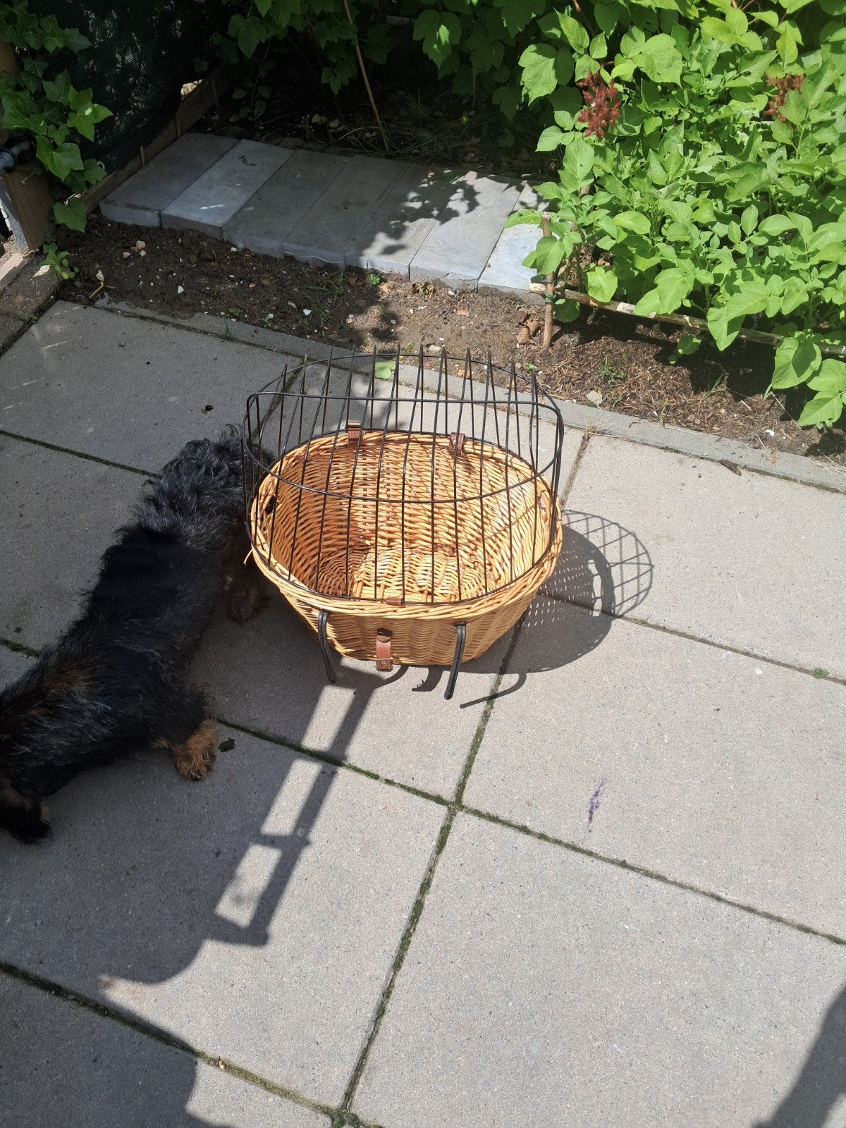 Fietsmand voor kleine hond/kat, Fietsen en Brommers, Fietsaccessoires | Fietsmanden, Ophalen, Gebruikt, Fietsmand