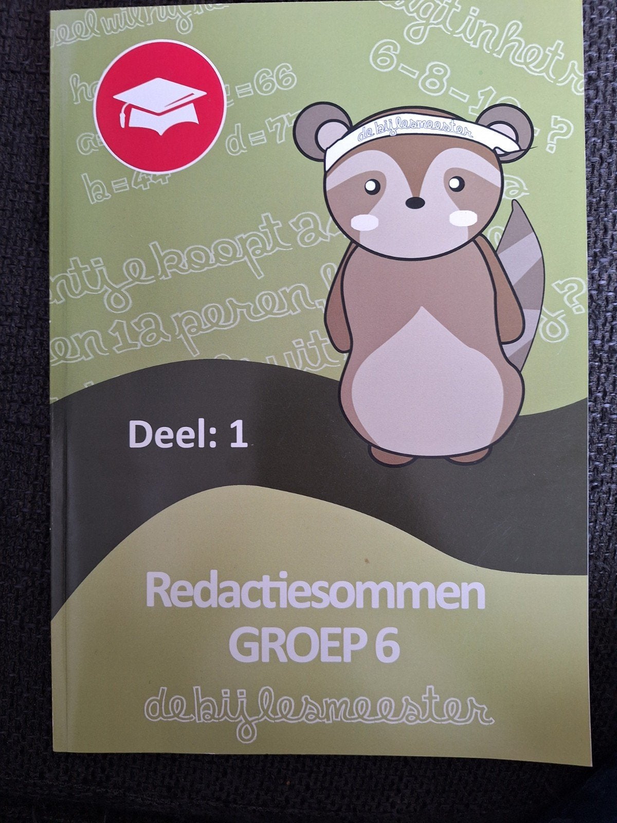 Redactiesommen Groep 6 Deel 1 - De Bijlesmeester, Boeken, Schoolboeken, Ophalen, Overige vakken, Zo goed als nieuw, De Bijlesmeester
