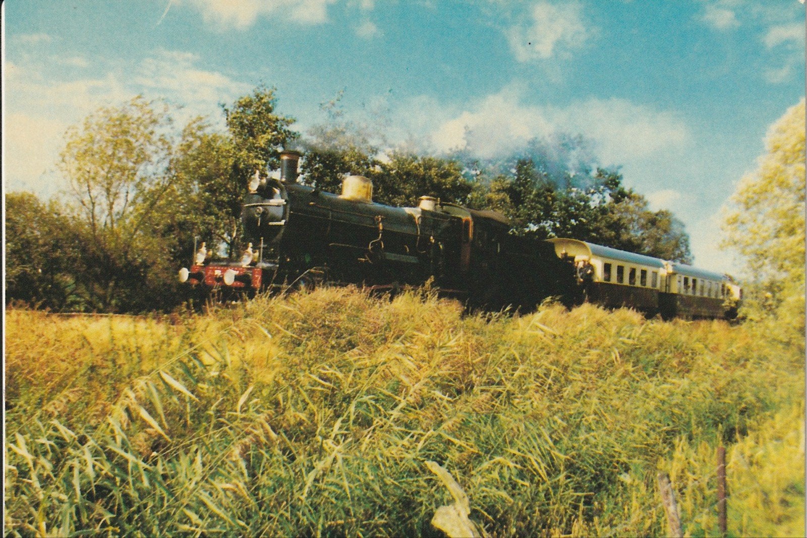 WOUDENBERG OMGEVING LOCO.OTIEF 3737 RIJTUIGEN SHM STOOM 1981, Ophalen of Verzenden, 1980 tot heden, Ongelopen, Utrecht