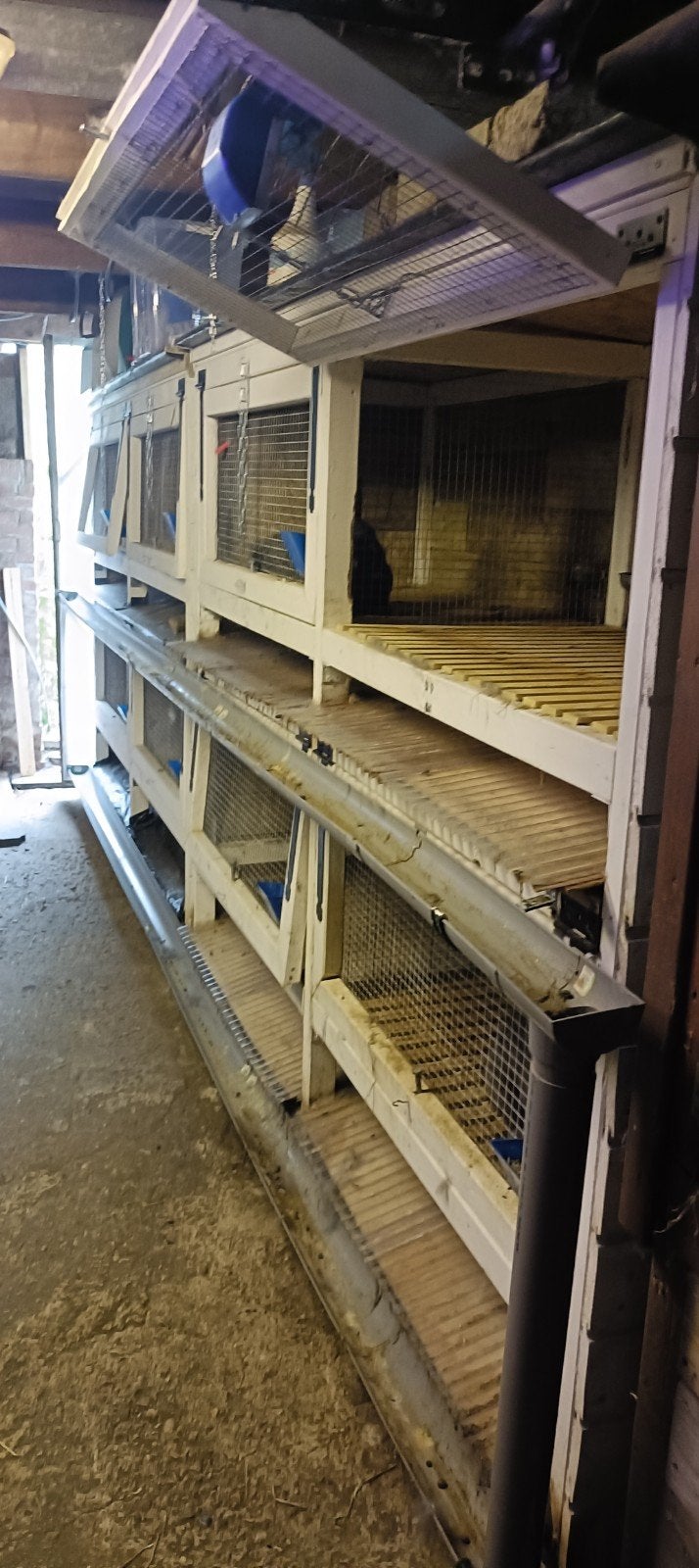 konijnenflats te koop inclusief toebehoren, Ophalen, 110 cm of meer, Hok, 90 cm of meer